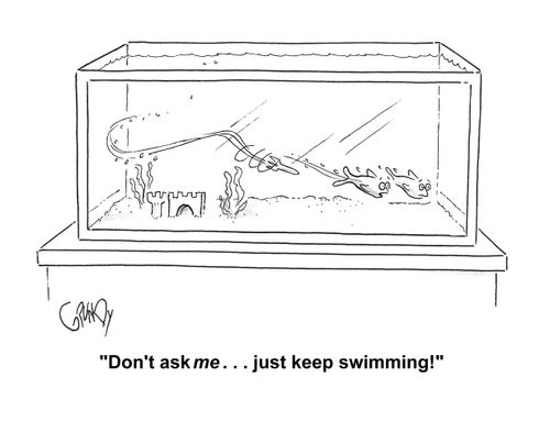 One fish to another as they are pursued by a torpedo inside aquarium: 'Don't ask me . . . just keep swimming!' 