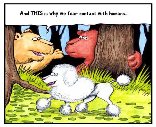 And THIS is why we fear contact with humans...