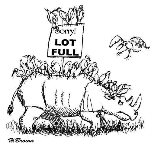 Sorry Lot Full!
