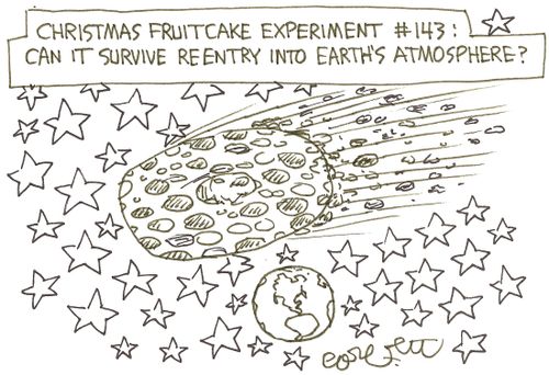 Christmas fruitcake experiment # 143: 'Can it survive re-entry into Earth's atmosphere?'