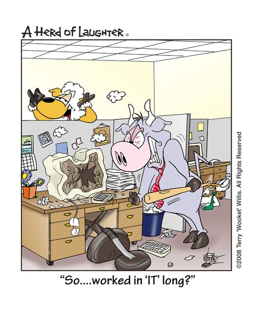 'So...worked in 'IT' long?'
