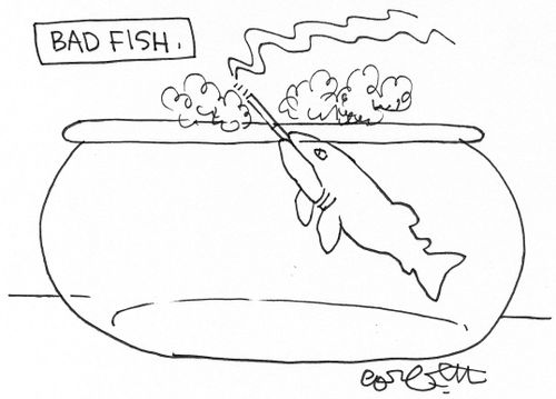 Bad fish.