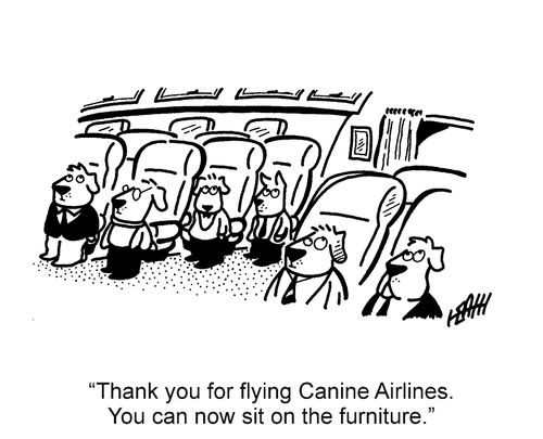 'Thank you for flying Canine Airlines. You can now sit on the furniture.'