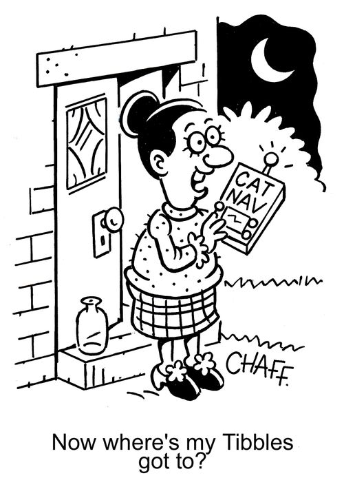 'Now where's my Tibbles got to?'