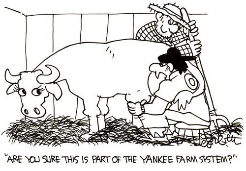 'Are you sure this is part of the Yankee farm system?'