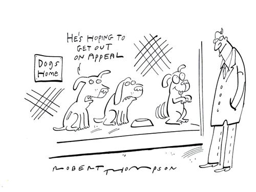 'He's hoping to get out on appeal.'