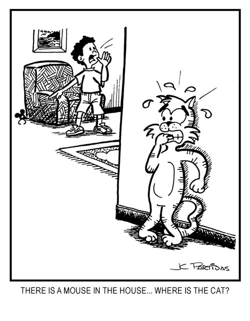 THERE IS A MOUSE IN THE HOUSE... WHERE IS THE CAT?