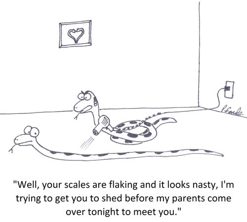 'Well, your scales are flaking and it looks nasty, I'm trying to get you to shed before my parents come over tonight to meet you.'