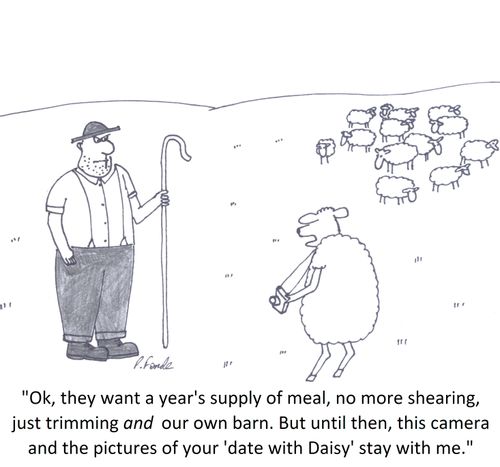 'Ok, they want a year's supply of meal, no more shearing, just trimming and our own barn. But until then, this camera and the pictures of your 'date with Daisy' stay with me.'