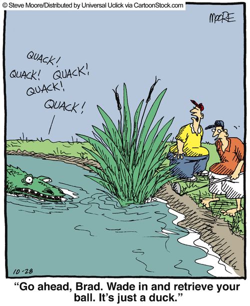 'Go ahead, Brad. Wade in and retrieve your ball. It's just a duck.'
