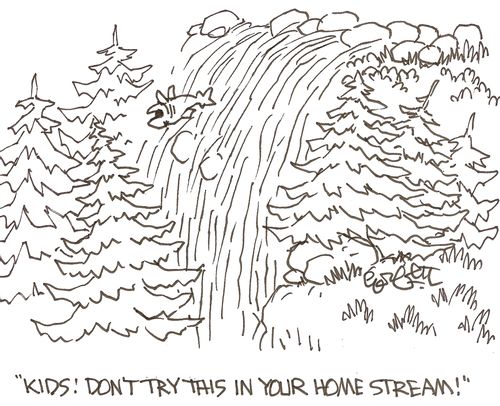 'Kids! Don't try this in your home stream!'