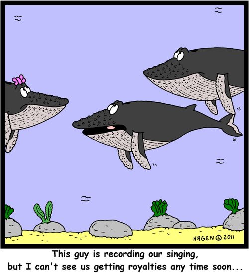 'This guy is recording our singing, but I can't see us getting royalties any time soon...'