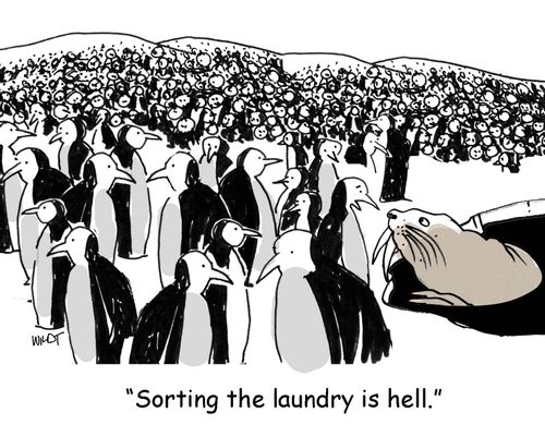 'Sorting the laundry is hell.'
