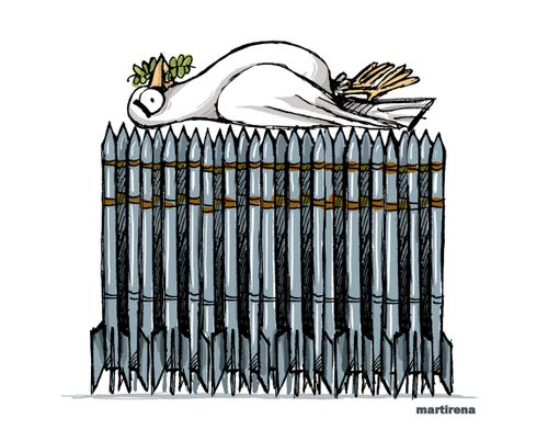 A dove rests in peace on a funeral pyre of weapons.
