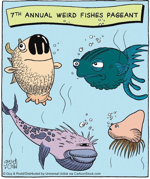 7th annual weird fishes pageant