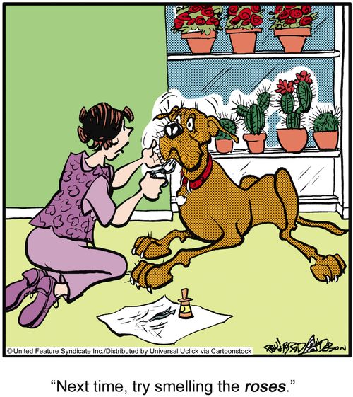'Next time, try smelling the roses.'