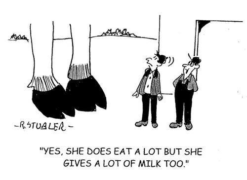 'Yes, she does eat a lot but she gives a lot of milk too.'