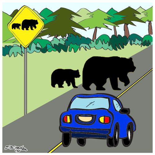 At a bear crossing sign a silhouette of a bear and cub cross the road in front of a car.