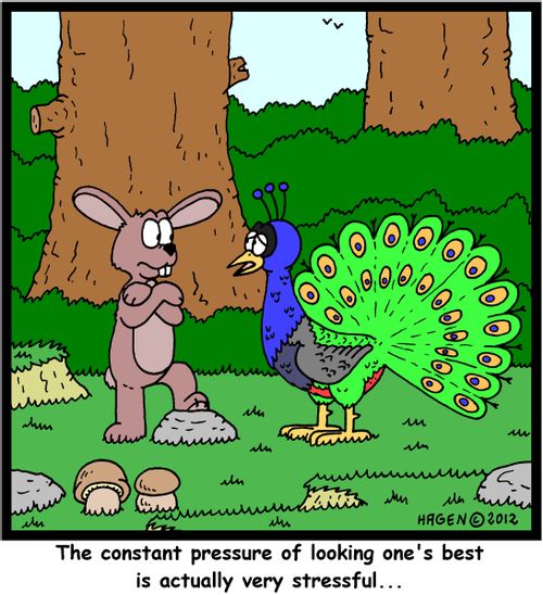 'The constant pressure of looking one's best is actually very stressful...'