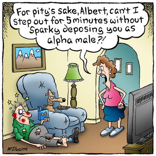 'For pity's sake, Albert, can't I step out for 5 minutes without Sparky deposing you as alpha male?!'