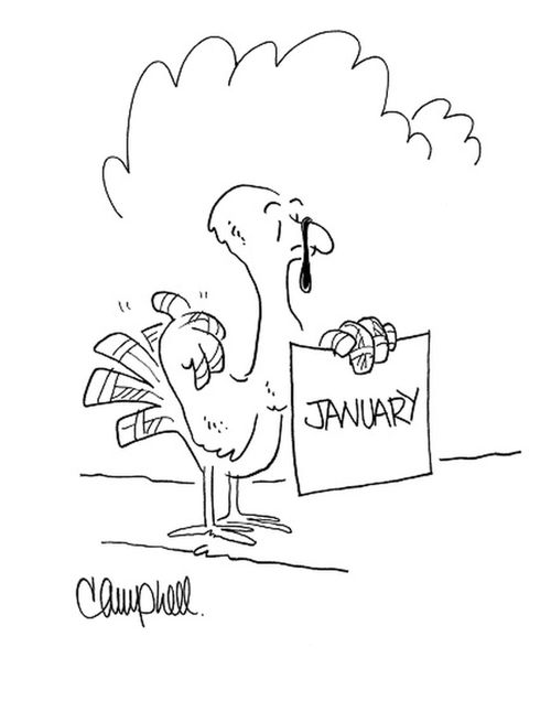 Turkey tries to hitchhike into 'January'.