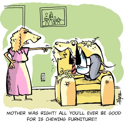 'Mother was right! All you'll ever be good for is chewing furniture!!'