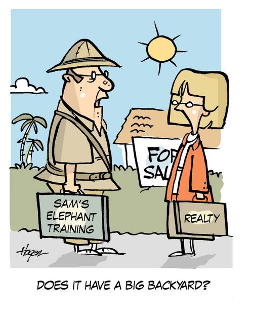'Does it have a big backyard?' - Sam's Elephant Training.