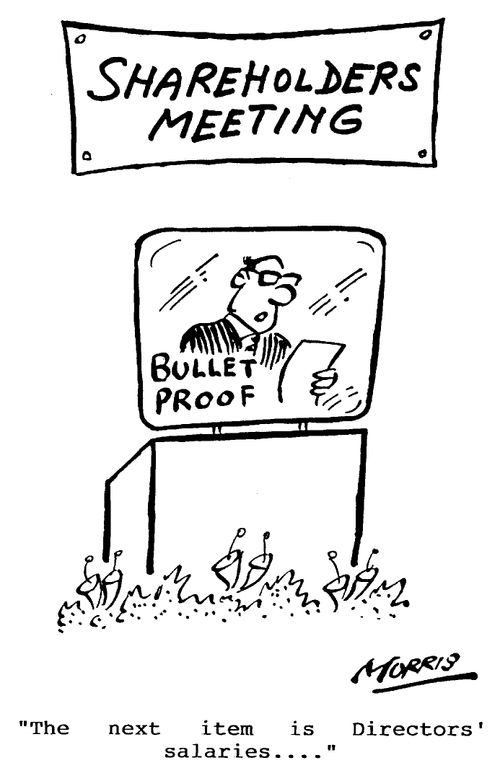 Shareholders Meeting - The next item is Directors' salaries....