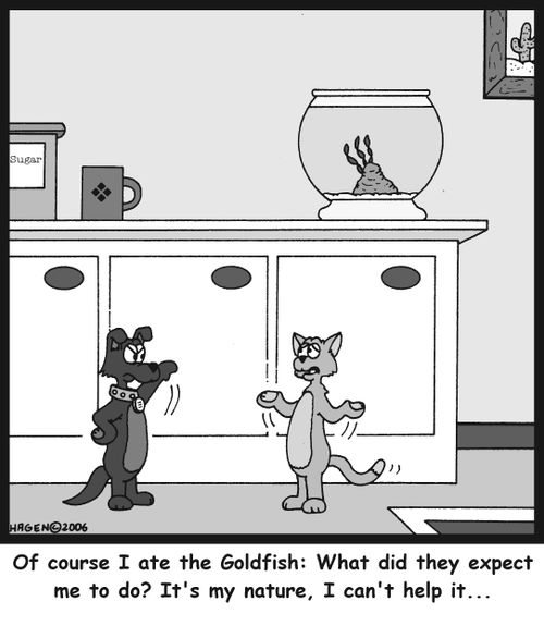 'Of course I ate the Goldfish: What did they expect me to do? It's my nature, I can't help it...'