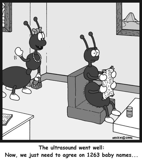 'The ultrasound went well: now we just need to agree on 1263 baby names...'