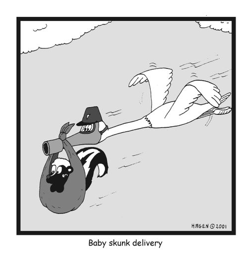'Baby skunk delivery.'