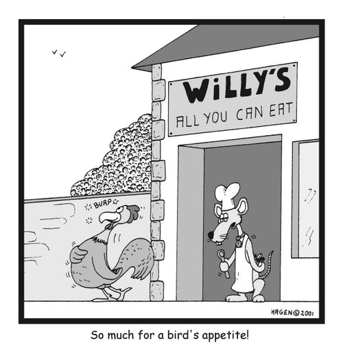 So much for a bird's appetite!
