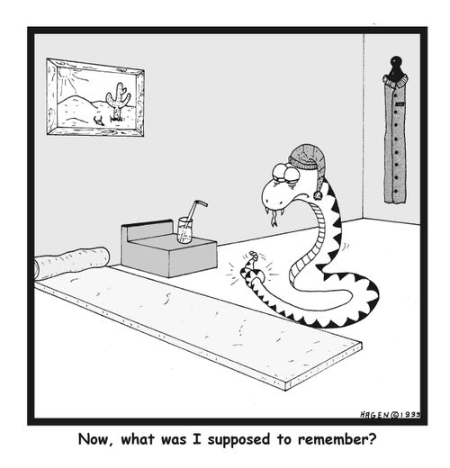 Now, what was I supposed to remember?