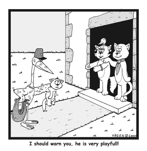 I should warn you - he is very playful!