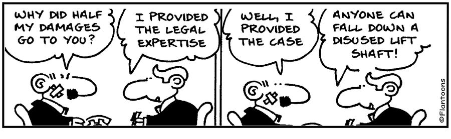 I provided the case, why do half my damages go to you? Anyone can fall down a liftshaft.
