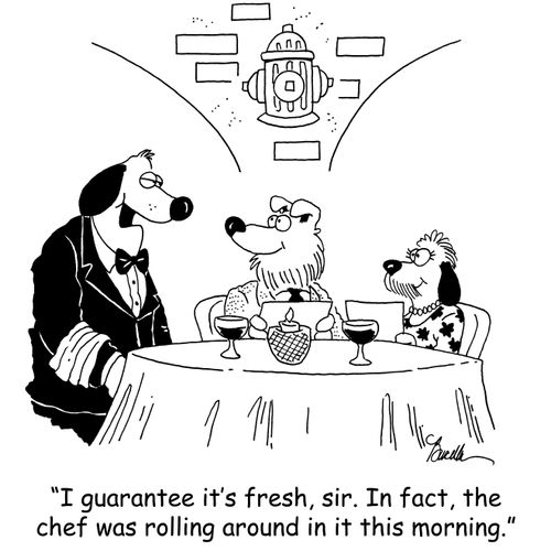 'I guarantee it's fresh, sir. In fact, the chef was rolling around in it this morning.'