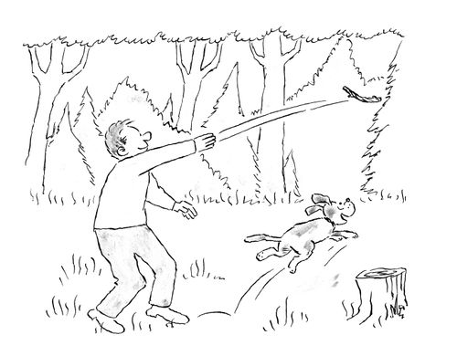 Man throwing stick for dog