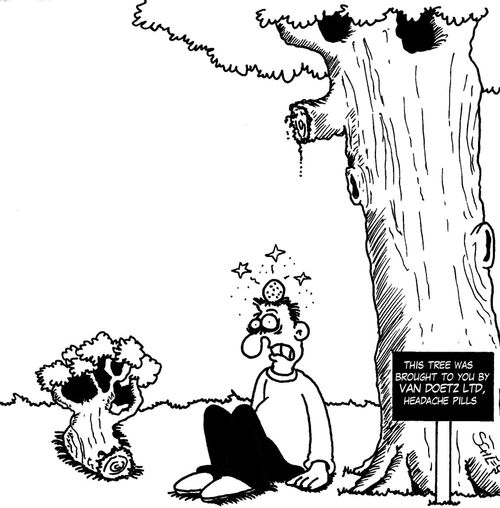 This tree was brought to you by Van Doetz Ltd, Headache Pills