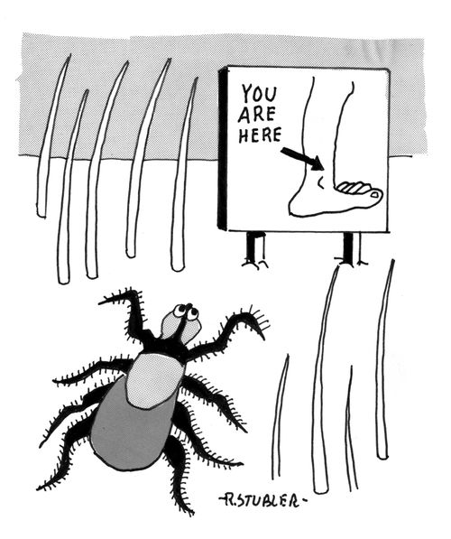 Tick on leg: You Are Here Sign.