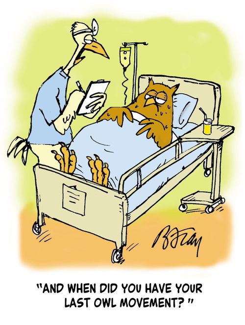 'And when did you have your last owl movement?'