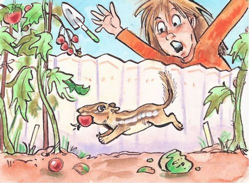 Trouble in the garden