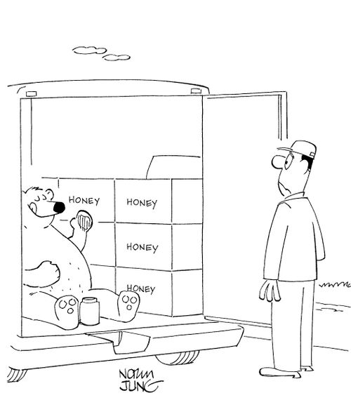 Delivery driver opens back of truck to find a bear eating his cargo of honey.