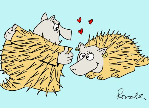 Flashing hedgehog.
