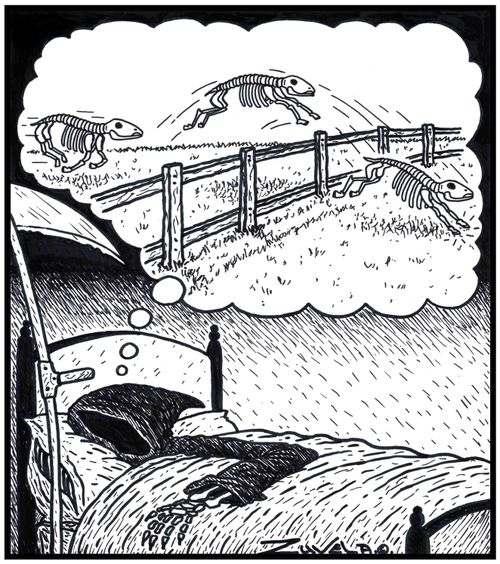 A Grim Reaper counting skeletons of sheep jumping over a fence.