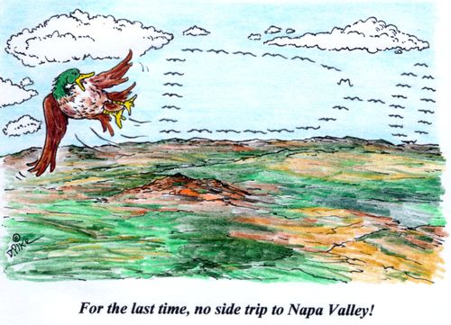 'For the last time, no side trip to Napa Valley!'