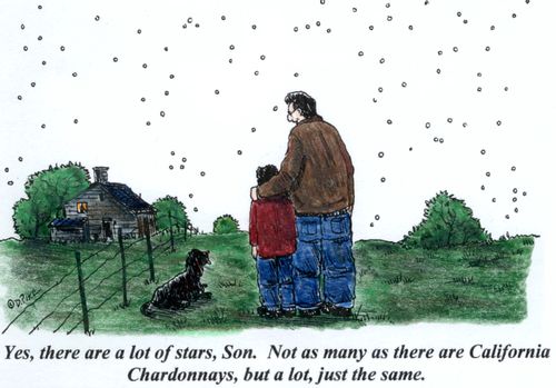 'Yes, there are a lot of stars, Son. Not as many as there are California Chardonnays, but a lot, just the same.'