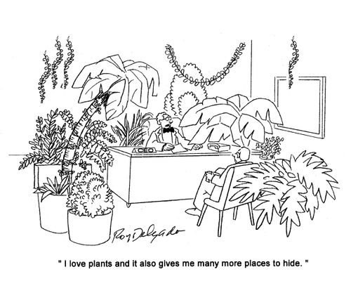 'I love plants and it also give me many more places to hide.'