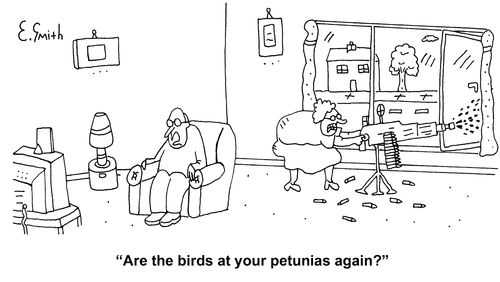 'Are the birds at your petunias again?'