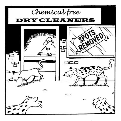 Environmentally friendly Dry Cleaners