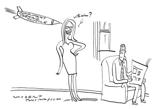 Compliment seeking missile